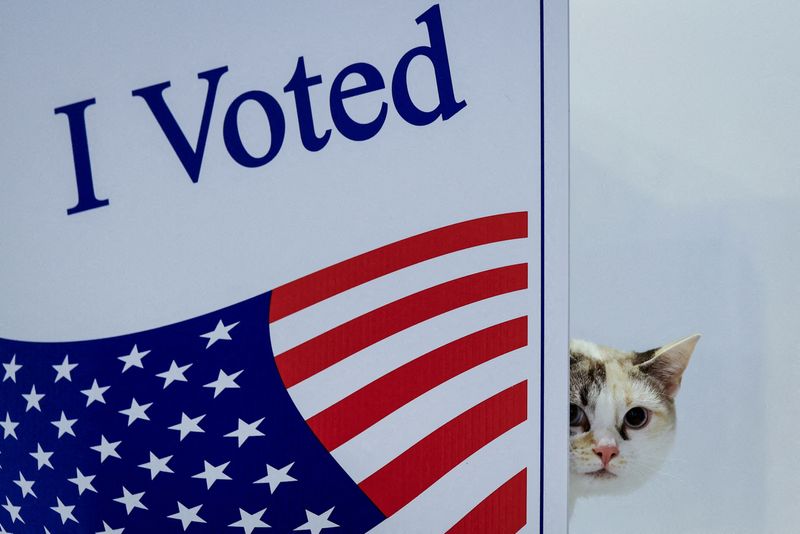 &copy; Reuters. FILE PHOTO: A cat named "Skye" looks on during the 2024 U.S. presidential election on Election Day in Pittsburgh, Pennsylvania, U.S., November 5, 2024. REUTERS/Quinn Glabicki/File Photo