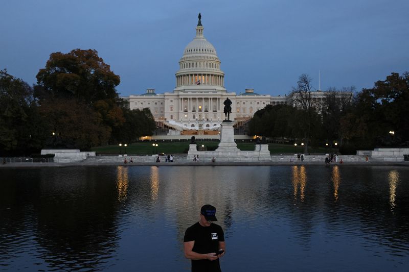 &copy; Reuters. A Trump supporter stands next to the Capitol Reflecting Pool near the U.S. Capitol building, the day U.S. President Elect Donald Trump was declared the winner of the presidential election in Washington, U.S., November 6, 2024. REUTERS/Leah Millis/File Pho