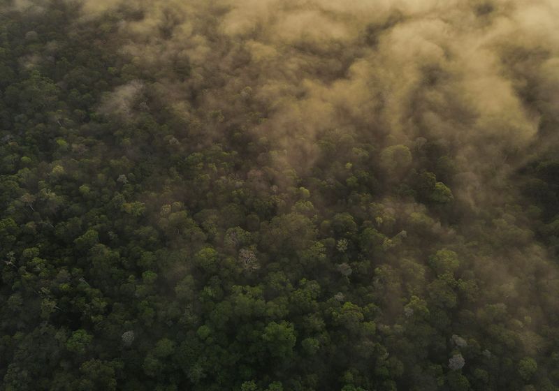 &copy; Reuters. FILE PHOTO: An aerial view shows trees as the sun rises at the Amazon rainforest in Manaus, Amazonas State, Brazil October 26, 2022. REUTERS/Bruno Kelly/File Photo