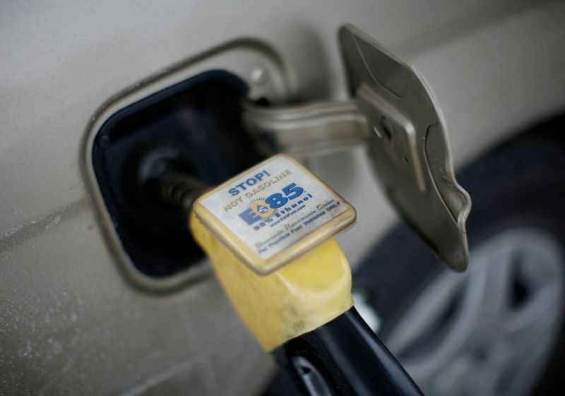 © Reuters. FILE PHOTO: Ethanol fuel is shown being pumped into a vehicle at a gas station selling alternative fuels in the town of Nevada, Iowa. REUTERS/Jason Reed/File Photo