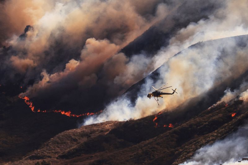 © Reuters. Mountain Fire, Santa Paula, California, November 7, 2024. REUTERS/David Swanson