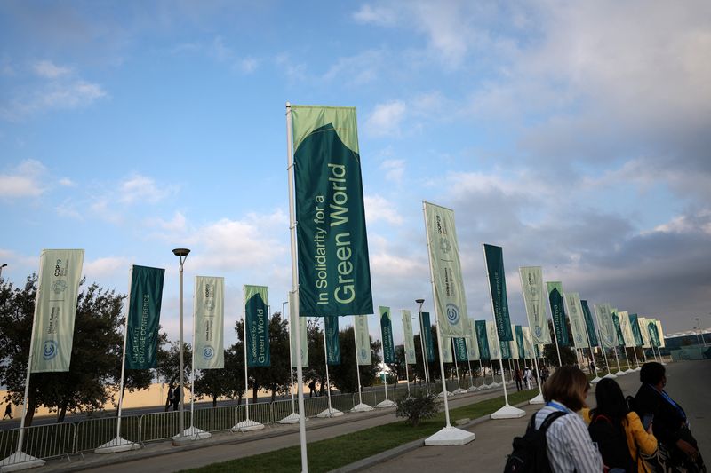 &copy; Reuters. People walk near the entrance to the venue of the United Nations climate change conference, known as COP29, ahead of the summit beginning in Baku, Azerbaijan November 10, 2024. REUTERS/Murad Sezer