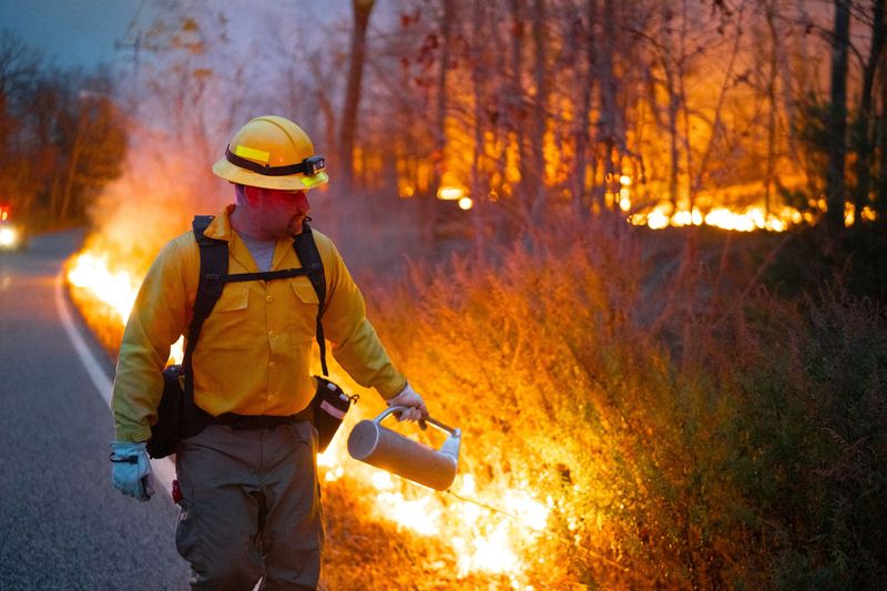 &copy; Reuters. A firefighter sets a backburn while tackling the Jennings Creek Wildfire impacting Passaic County, NJ and Orange County, NY near Jennings Creek, New Jersey, U.S. November 9, 2024. New Jersey Department of Environmental Protection/Handout via REUTERS