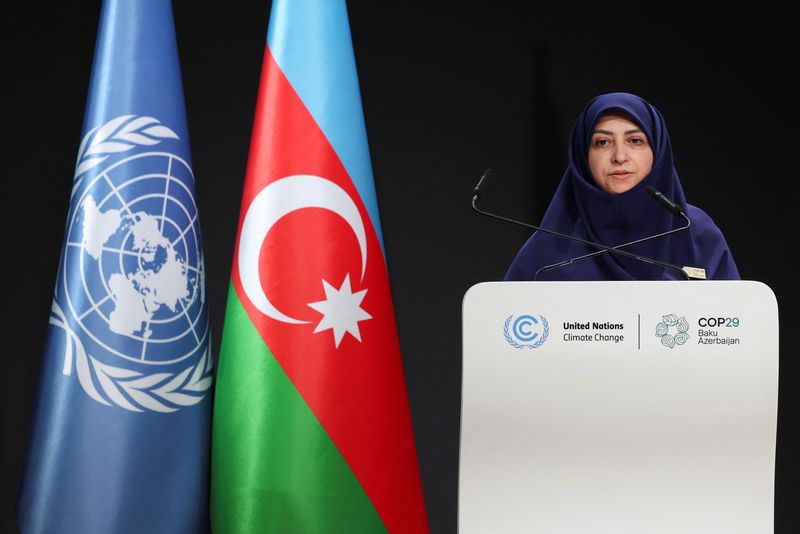 © Reuters. Shina Ansari Hamedani, Vice President of Iran, speaks during the United Nations climate change conference COP29, in Baku, Azerbaijan November 13, 2024. REUTERS/Murad Sezer