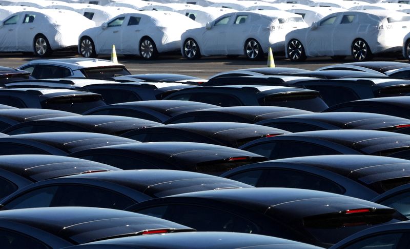 &copy; Reuters. FILE PHOTO: New cars are seen parked in the port of Zeebrugge, Belgium, October 24, 2024. REUTERS/Yves Herman/File Photo