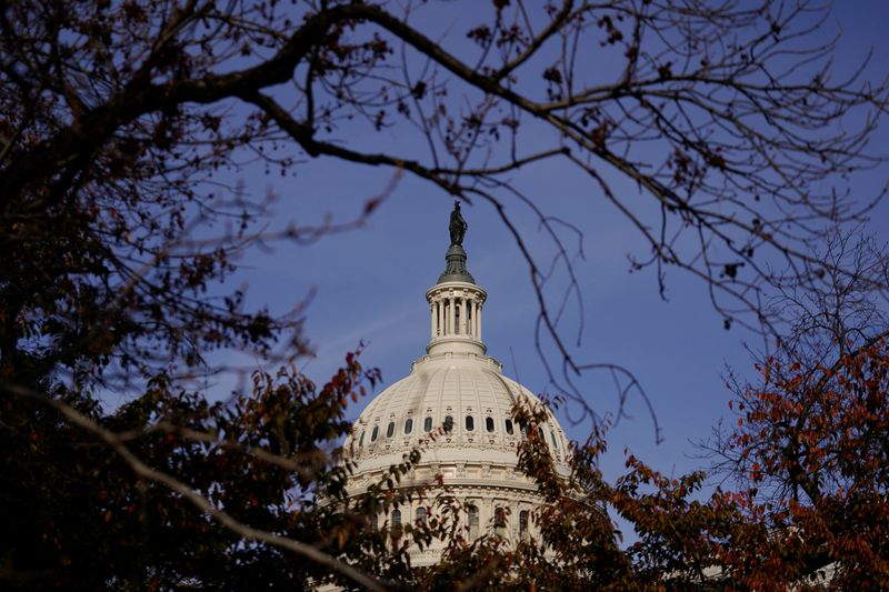 &copy; Reuters. FILE PHOTO: The U.S. Capitol dome is seen, on the day Republican U.S. Senator John Thune (R-SD) was elected to become the next Senate Majority Leader, following the U.S. Senate Republicans leadership election, on Capitol Hill in Washington, U.S., November