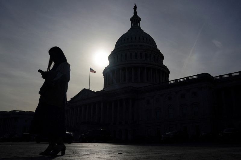 &copy; Reuters. FILE PHOTO: A person uses a mobile phone with the U.S. Capitol building in the background, on the day Republican U.S. Senator John Thune (R-SD) was elected to become the next Senate Majority Leader, following the U.S. Senate Republicans leadership electio