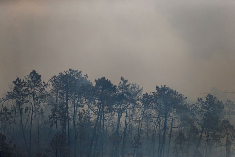 © Reuters. Smoke billows during a wild fire, in Leiria, Portugal July 13, 2022. REUTERS/Rodrigo Antunes/File Photo