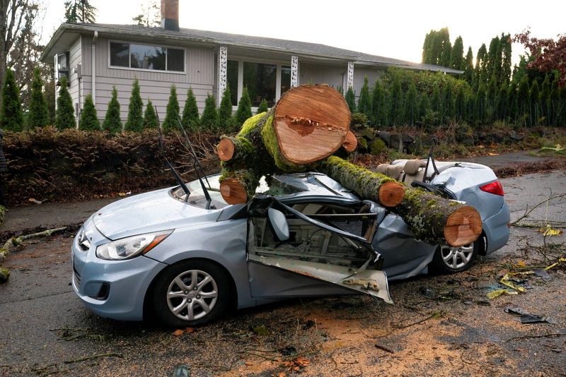 © Reuters. A fallen tree sits atop a car after a powerful storm hit the U.S. Pacific Northwest and western Canada, causing power outages in Washington, Oregon, California, and British Columbia while wreaking havoc on road travel, in Seattle, Washington, U.S., November 20, 2024.  REUTERS/David Ryder