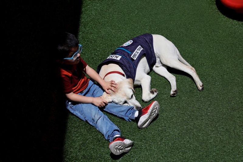 &copy; Reuters. Paciente Samuel Ayala acaricia labrador retriever Aldo depois de consulta odontológica pediátrica em Quito, no Equadorn22/10/2024 REUTERS/Karen Toro