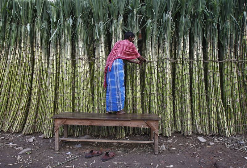 &copy; Reuters. Cana-de-açúcar em mercado em Kolkata, Índia