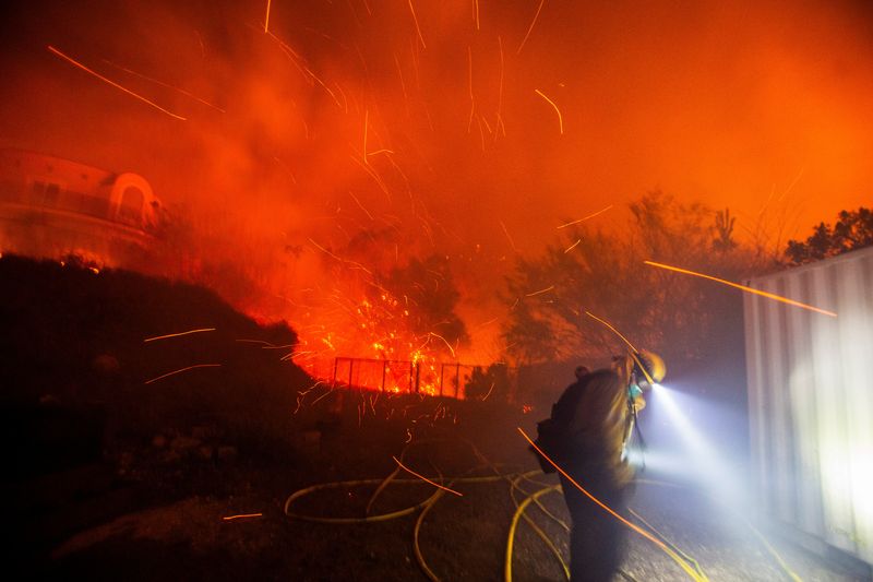 © Reuters. The wind whips embers from the trees while a firefighter works as the Franklin Fire burns in Malibu, California, U.S., December 10, 2024. REUTERS/Ringo Chiu/ File Photo