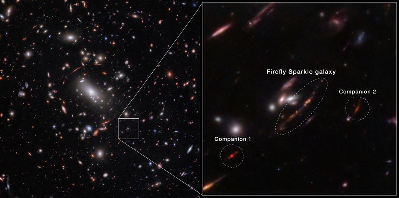 &copy; Reuters. An image acquired by the James Webb Space Telescope, using the NIRCam instrument, shows a newly identified galaxy, the Firefly Sparkle, that is in the process of assembling and forming stars, and existed about 600 million years after the Big Bang, along w