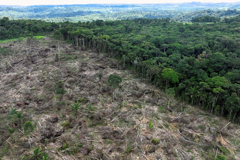 &copy; Reuters. Imagem de drone de desmatamento na Amazônian21/01/2023nREUTERS/Ueslei Marcelino