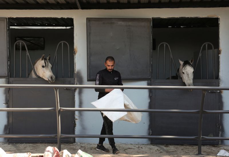 &copy; Reuters. Farhan al-Khouli, Syrian military conscript who deserted his post on the first day of the rebel offensive, walks at a horse stable in Damascus, Syria December 10, 2024. REUTERS/Mohamed Azakir