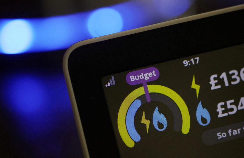 © Reuters. FILE PHOTO: A home smart meter showing energy use is seen in the kitchen of a home in an illustration picture taken September 9, 2024. REUTERS/Phil Noble/File Photo