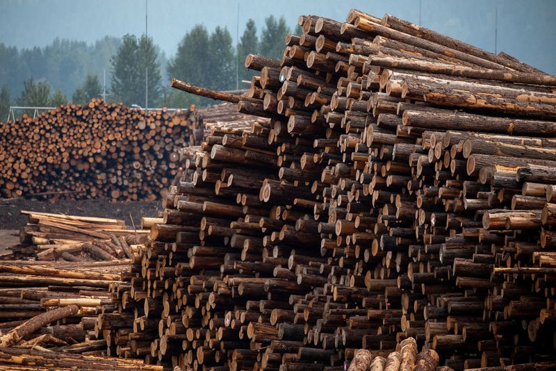 &copy; Reuters. FILE PHOTO: Logs are stacked at a sawmill in Revelstoke, British Columbia, Canada, August 20, 2023. REUTERS/Chris Helgren/File Photo