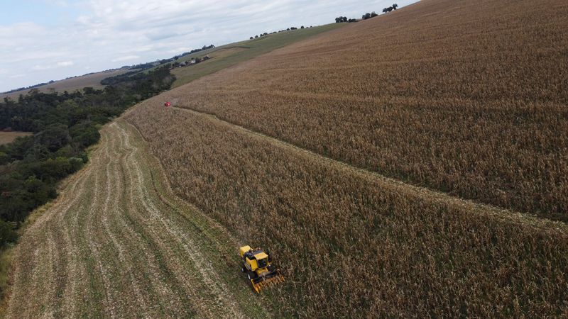 &copy; Reuters. Um agricultor usa uma máquina para coletar milho em uma plantação em Maringán13/07/2022nREUTERS/Rodolfo Buhrer