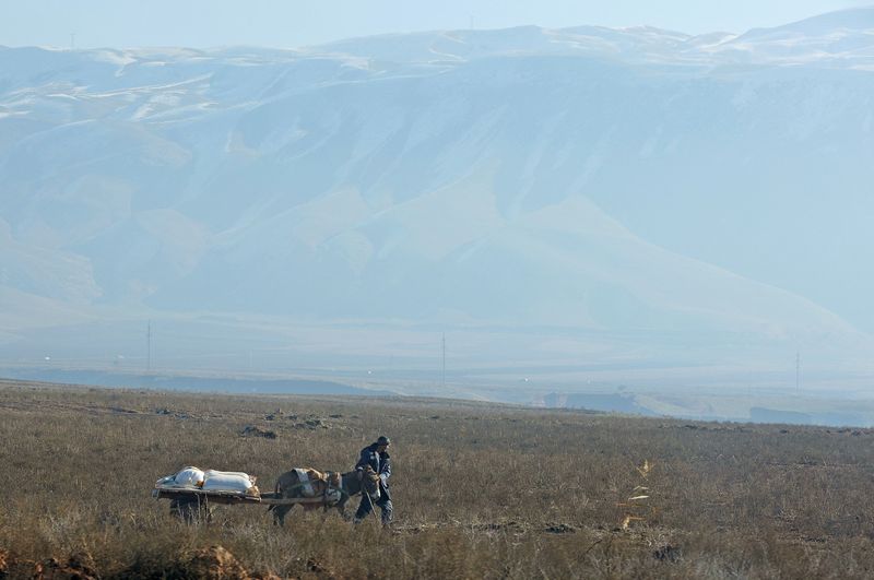 © Reuters. A man walks with a donkey outside the settlement of Hulbuk, formerly known as Vose, in the Khatlon region, Tajikistan, December 12, 2024. REUTERS/Stringer