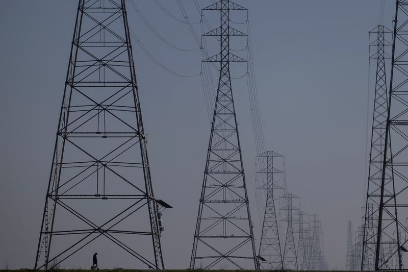 © Reuters. A local resident walks near the power grid towers at Bair Island State Marine Park in Redwood City, California, U.S., January 26, 2022. REUTERS/Carlos Barria/File Photo