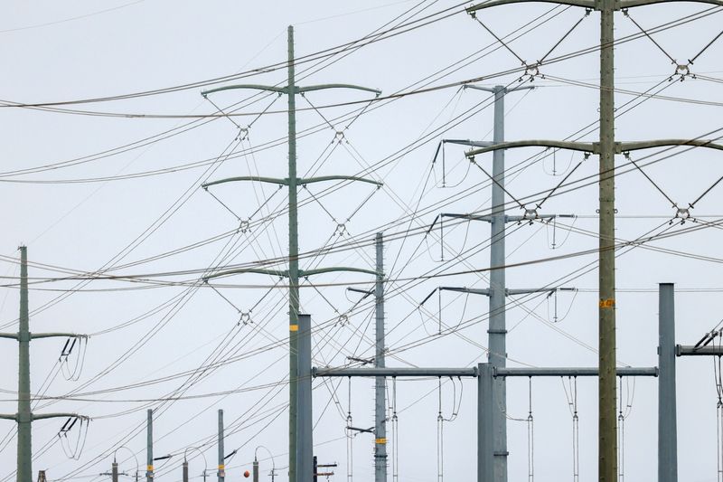 © Reuters. FILE PHOTO: Power lines are shown in Carlsbad, California, U.S., August 17, 2020. REUTERS/Mike Blake/File Photo