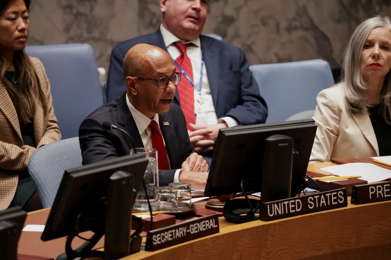 &copy; Reuters. FILE PHOTO: U.S. Ambassador to the United Nations Robert Wood, serving as the United Nations Security Council President, presides over a meeting of the Security Council on Syria at the U.N. headquarters in New York City, U.S., December 3, 2024. REUTERS/Ke