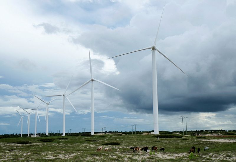 &copy; Reuters. Torres de energia eólica no Cearán24/04/2009nREUTERS/Stuart Grudgings