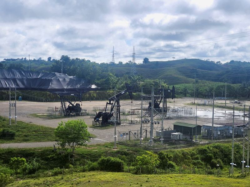 © Reuters. Oil pumpjacks are pictured in an Ecopetrol oil field in Barrancabermeja, Colombia October 11, 2024. REUTERS/Nelson Bocanegra/File Photo