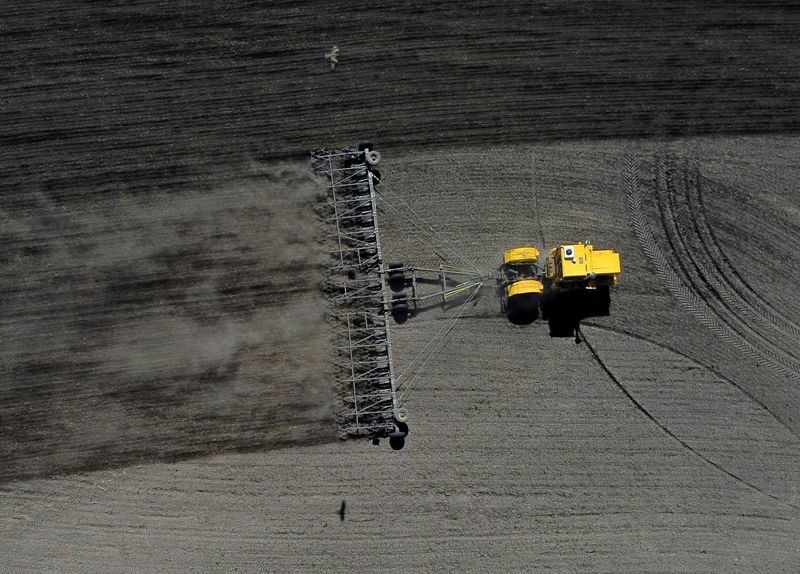 &copy; Reuters. Plantio de trigon17/05/2024nREUTERS/Vladislav Nekrasov//File Photo