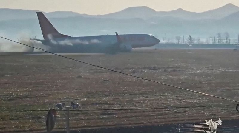 Experts question bird strike as cause of deadly South Korean airliner crash