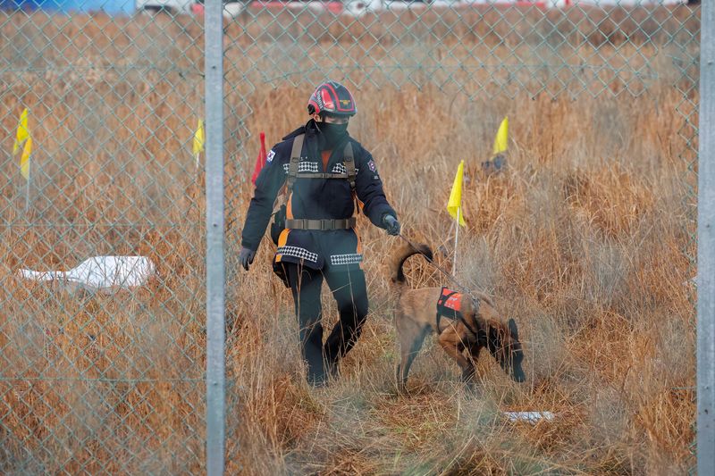 © Reuters. A worker and a dog work at the site where a plane skidded off the runway at Muan International Airport in Muan, South Korea, December 30, 2024. REUTERS/Kim Hong-Ji