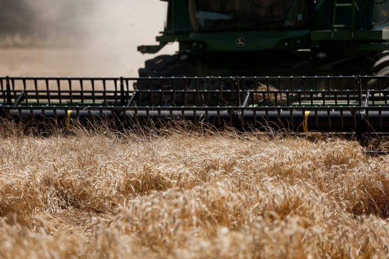 &copy; Reuters. A Deere & Co. John Deere combine harvester cuts through a field of wheat during the summer harvest in Survilliers, France, July 15, 2022. REUTERS/Benoit Tessier/File Photo