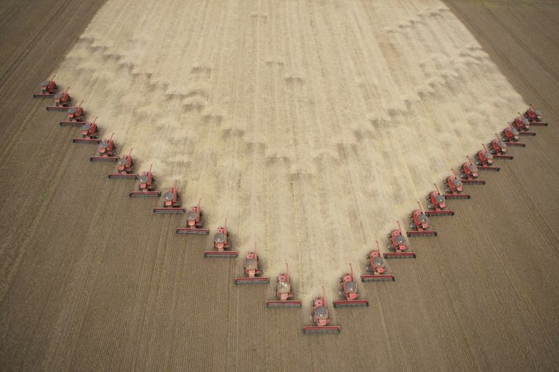 © Reuters. Colheita de soja no Mato Grosso