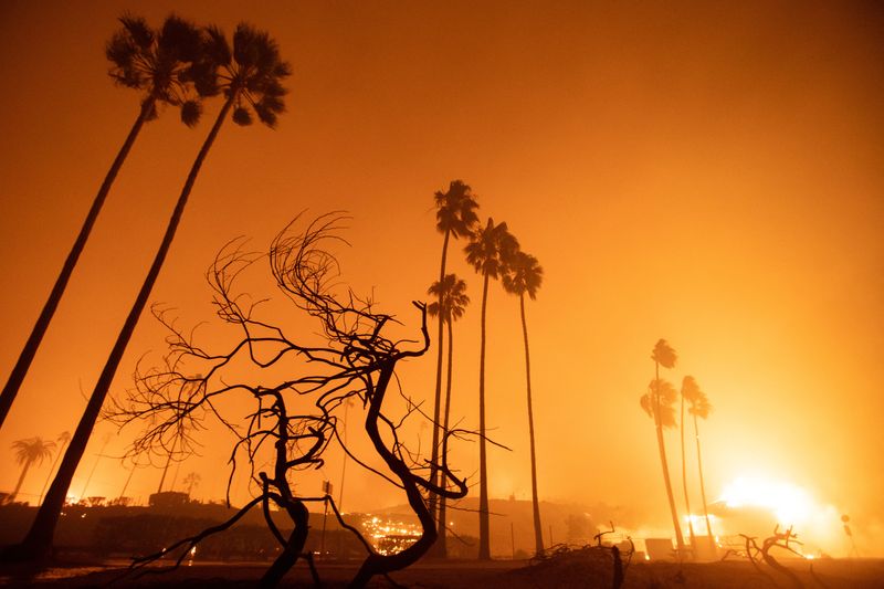 © Reuters. The Palisades Fire burns near the coast during a wind storm west of Los Angeles, California, US January 7, 2025. REUTERS/Ringo Chiu