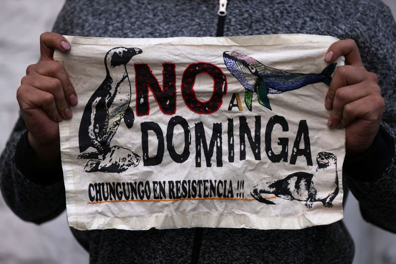 &copy; Reuters. Ativista ambiental segura placa em Santiago com frase "Não para Dominga", antes que comitê de ministros do Chile negasse licenças para projeto de mineração de cobre e ferro da Andes Ironn18/01/2023nREUTERS/Ivan Alvarado