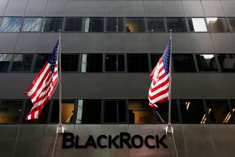 &copy; Reuters. FILE PHOTO: The BlackRock logo is seen outside of its offices in New York City, U.S., October 17, 2016.  REUTERS/Brendan McDermid/File Photo