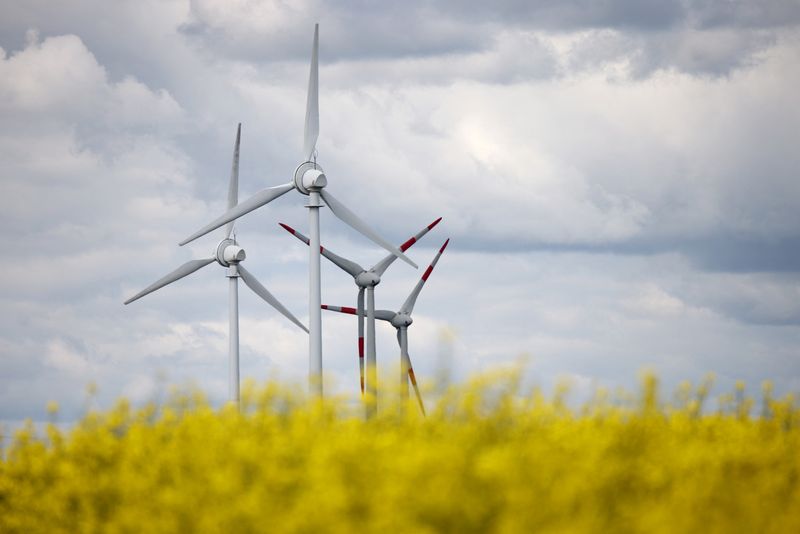 © Reuters. FILE PHOTO: Power-generating windmill turbines and power lines are seen in a rapeseed field in Nauen, Germany, April 18, 2024. REUTERS/Liesa Johannssen/File Photo