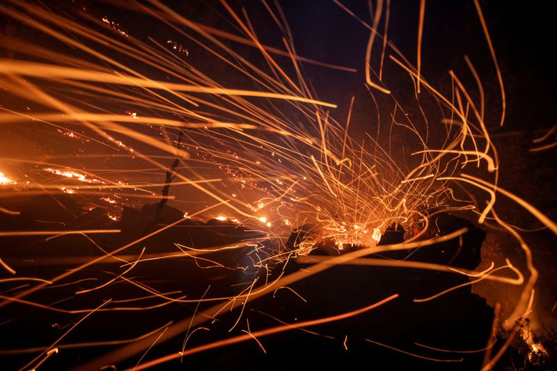 &copy; Reuters. The wind whips embers in the Angeles National Forest near Mt. Wilson as the wildfires burn in the Los Angeles area, during the Eaton Fire in Altadena, California, U.S. January 9, 2025. REUTERS/Ringo Chiu/ File Photo