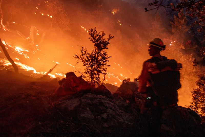 &copy; Reuters. FILE PHOTO: A firefighter battles the fire in the Angeles National Forest near Mt. Wilson as the wildfires burn in the Los Angeles area, during the Eaton Fire in Altadena, California, U.S. January 9, 2025. REUTERS/Ringo Chiu/File Photo