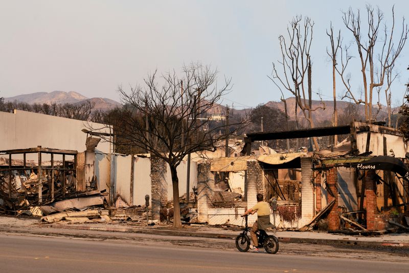 &copy; Reuters. A cyclist looks at the remains of destroyed buildings following the Palisades Fire in the Pacific Palisades neighborhood in Los Angeles, California, U.S. January 10, 2025. REUTERS/David Ryder