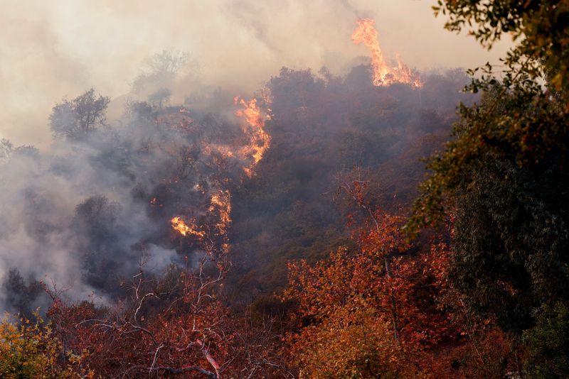 &copy; Reuters. Smoke and flames rise from the Palisades Fire, one of simultaneous blazes that have ripped across Los Angeles County, along Mandeville Canyon, in the Encino neighborhood of Los Angeles, California, U.S., January 11, 2025. REUTERS/Daniel Dreifuss