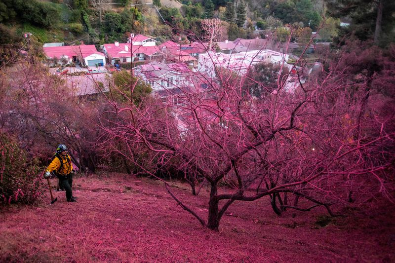 Fire-ravaged Los Angeles in path of dangerous Santa Ana winds