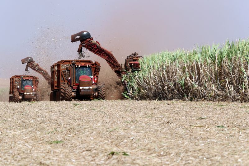 &copy; Reuters. Máquina corta cana-de-açúcar em canavial em Pradópolis