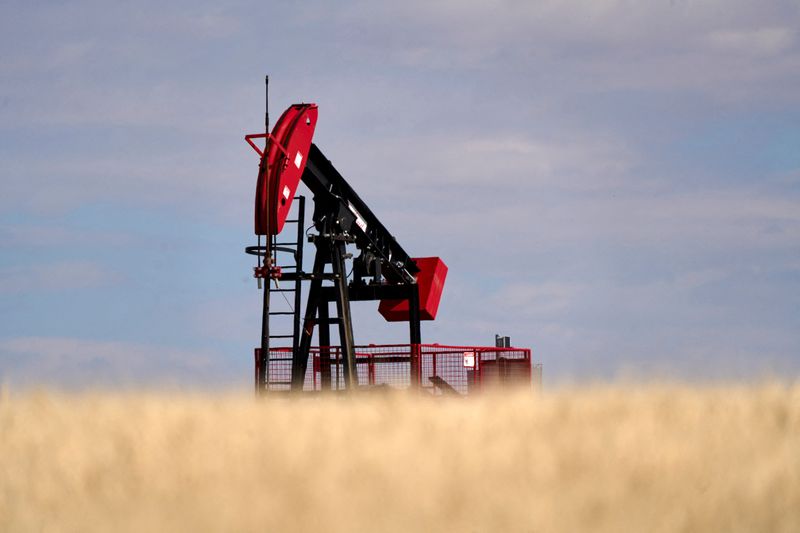 © Reuters. FILE PHOTO: View of an oil ram in a farmer's field near Kindersley, Saskatchewan, Canada September 5, 2024. REUTERS/Todd Korol/File Photo