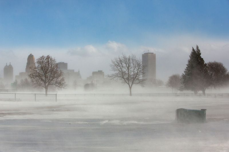 &copy; Reuters. FILE PHOTO: The city skyline is seen in drifting snow during the polar vortex in Buffalo, New York, U.S., January 31, 2019. REUTERS/Lindsay DeDario/File Photo