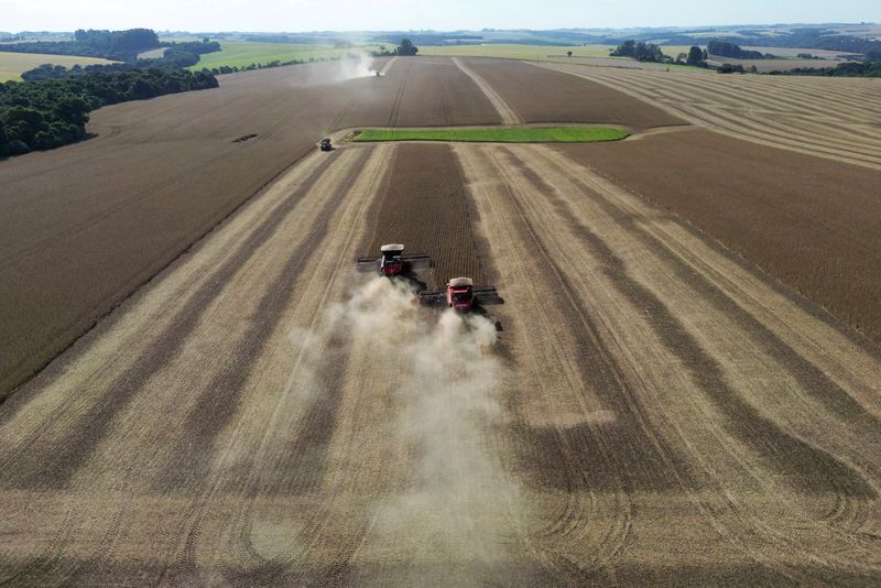 &copy; Reuters. Trabalhadores rurais operam colheitadeira durante colheita da soja em fazenda em Não Me Toque, no Rio Grande do Suln03/04/2024 REUTERS/Diego Vara