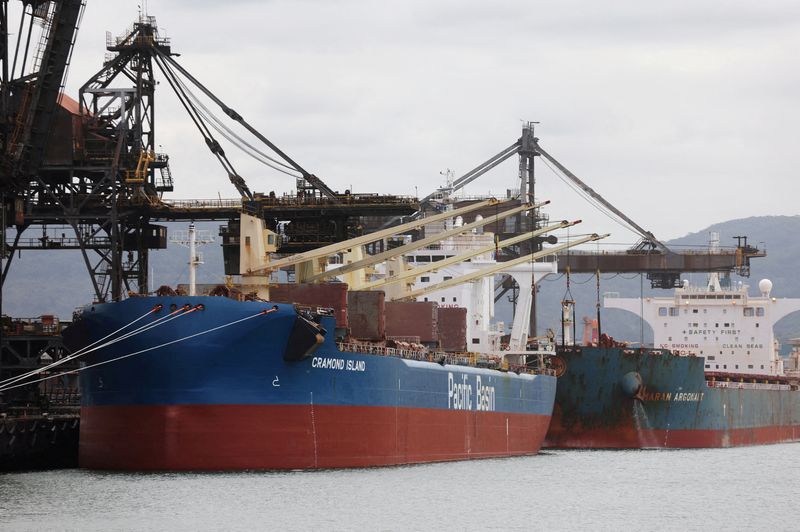 © Reuters. FILE PHOTO: Vessels are docked at the BlueScope steelworks, Port Kembla, Australia February 9, 2024. REUTERS/Lewis Jackson/File Photo