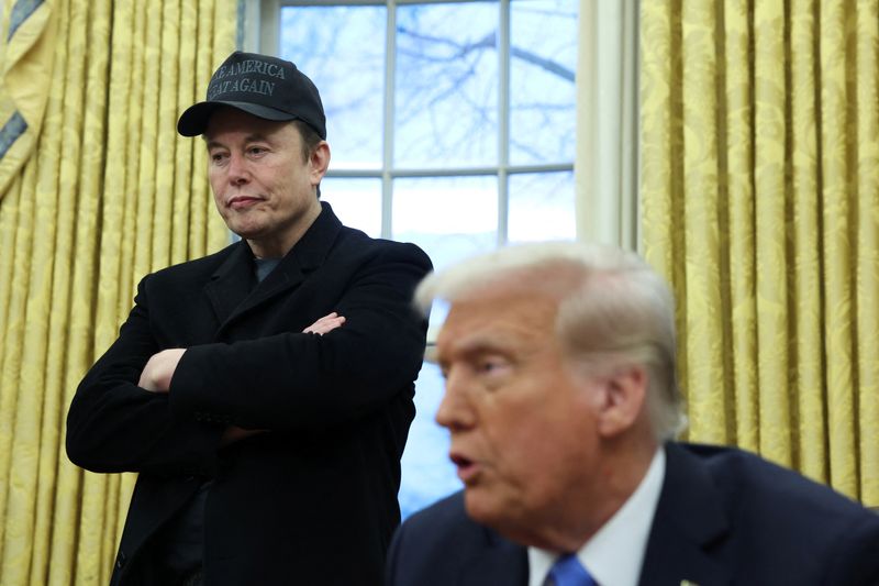 Trump adviser Elon Musk says basic controls are needed at Treasury