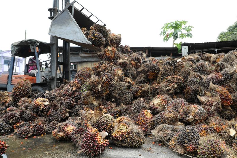 Exclusive-Malaysia will crack down on fraud in used cooking oil exports, official says