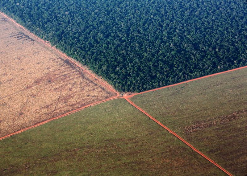 Brazil soy lobby tells growers to reject EU anti-deforestation rule in contracts